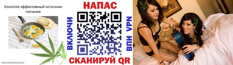 Canna-Cookies конопля  darknet какой сайт  Пугачёв  OMG ССЫЛКА 
