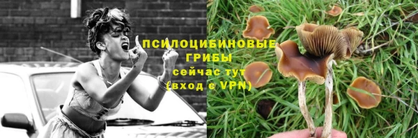 мет Сатка