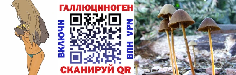 Псилоцибиновые грибы MAGIC MUSHROOMS  Пугачёв 